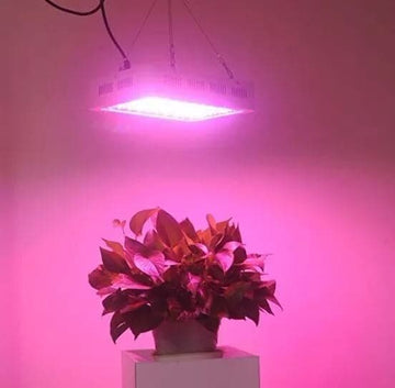 Panel Foco Led Cultivo Interior 1000w Potencia Indoor