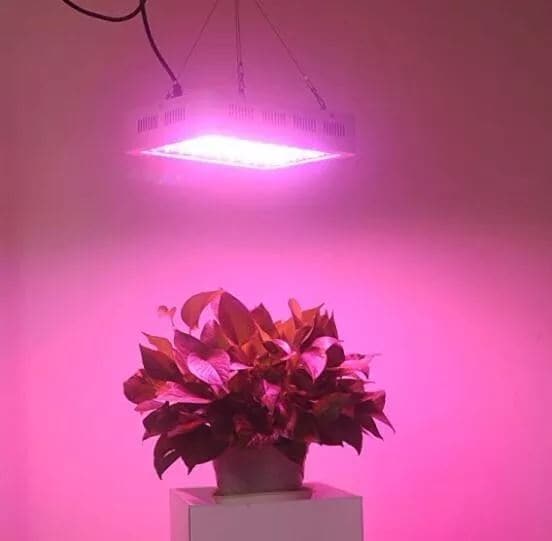 Panel Foco Led Cultivo Interior 1000w Potencia Indoor