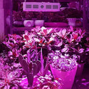 Panel Foco Led Cultivo Interior 1000w Potencia Indoor