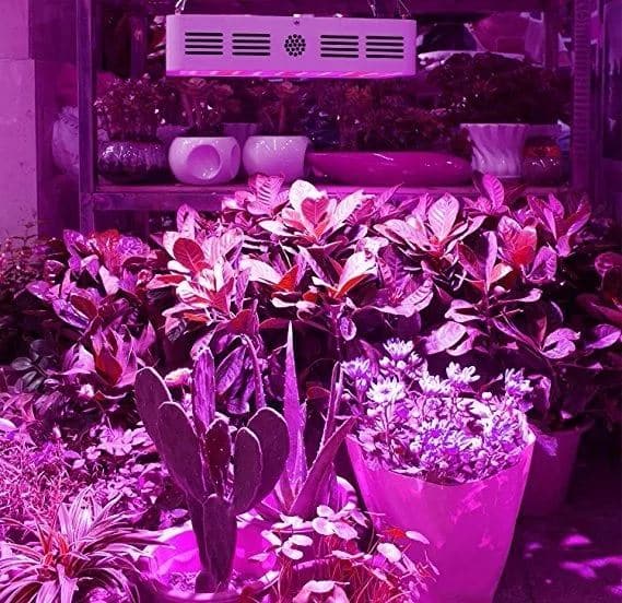 Panel Foco Led Cultivo Interior 1000w Potencia Indoor