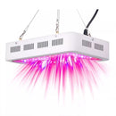 Panel Foco Led Cultivo Interior 1000w Potencia Indoor