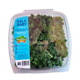 KALE BABY HORTIFRESCO 150G