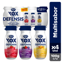 YOX ALPINA 100G PACK 12 UND