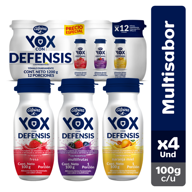 YOX ALPINA 100G PACK 12 UND