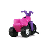 TRICICLO SOPLADO NIÑA CPF1530-2 BOY TOYS